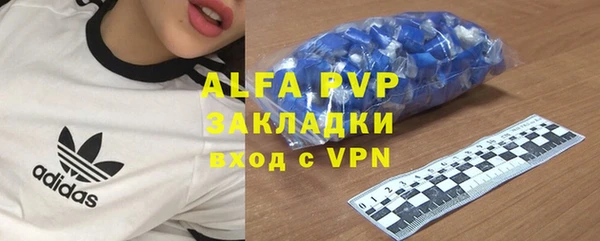 крисы Баксан
