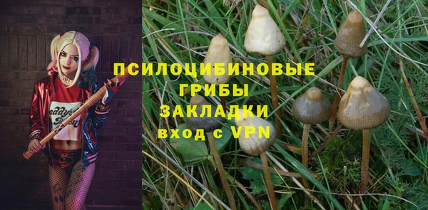 ГАЛЛЮЦИНОГЕННЫЕ ГРИБЫ Балахна