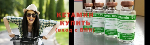 крисы Баксан