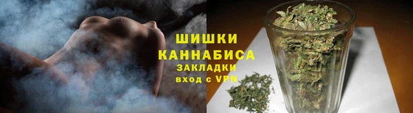 ГАЛЛЮЦИНОГЕННЫЕ ГРИБЫ Балахна