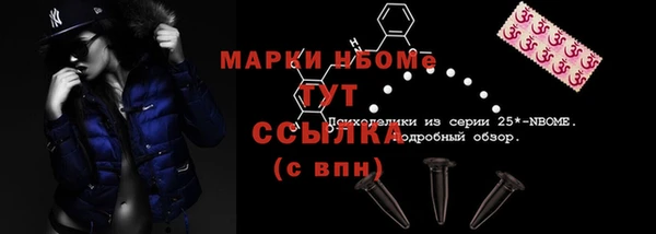 крисы Баксан