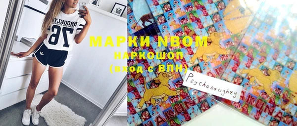 крисы Баксан