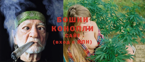 ГАЛЛЮЦИНОГЕННЫЕ ГРИБЫ Балахна