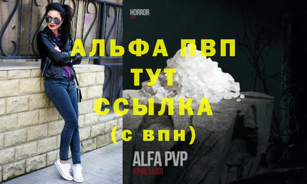 крисы Баксан