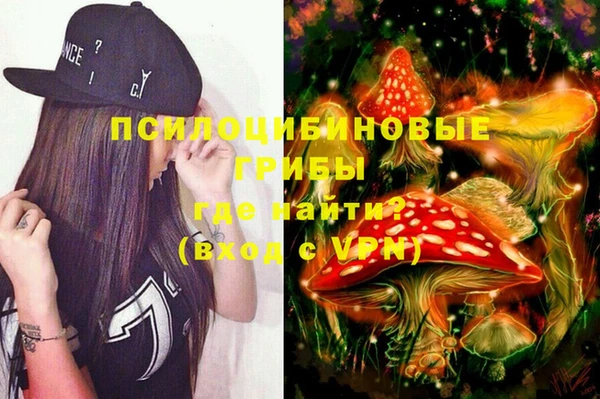 ГАЛЛЮЦИНОГЕННЫЕ ГРИБЫ Балахна