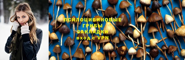 ГАЛЛЮЦИНОГЕННЫЕ ГРИБЫ Балахна