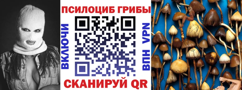 Галлюциногенные грибы прущие грибы  Красноперекопск 